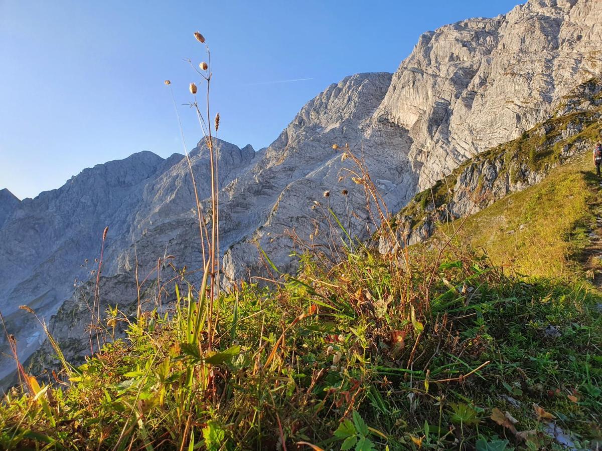 Ferienwohnungen Gaestehaus Laercheck Berchtesgaden Exteriér fotografie