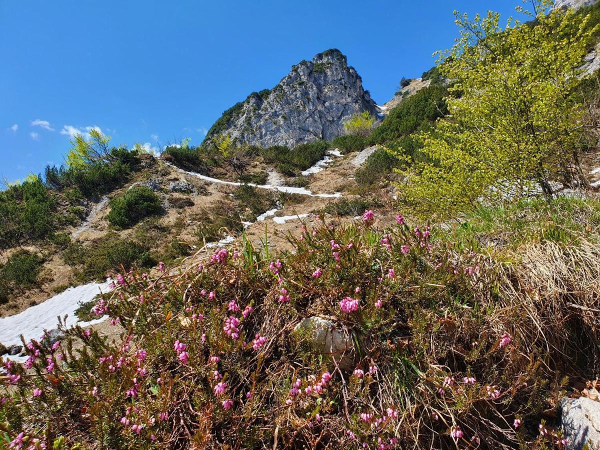 Ferienwohnungen Gaestehaus Laercheck Berchtesgaden Exteriér fotografie